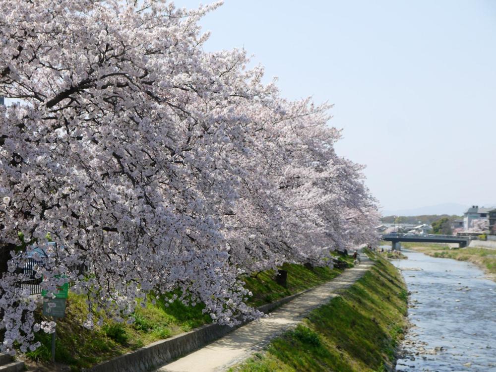Hanare Kyoto Chogeikan 外观 照片